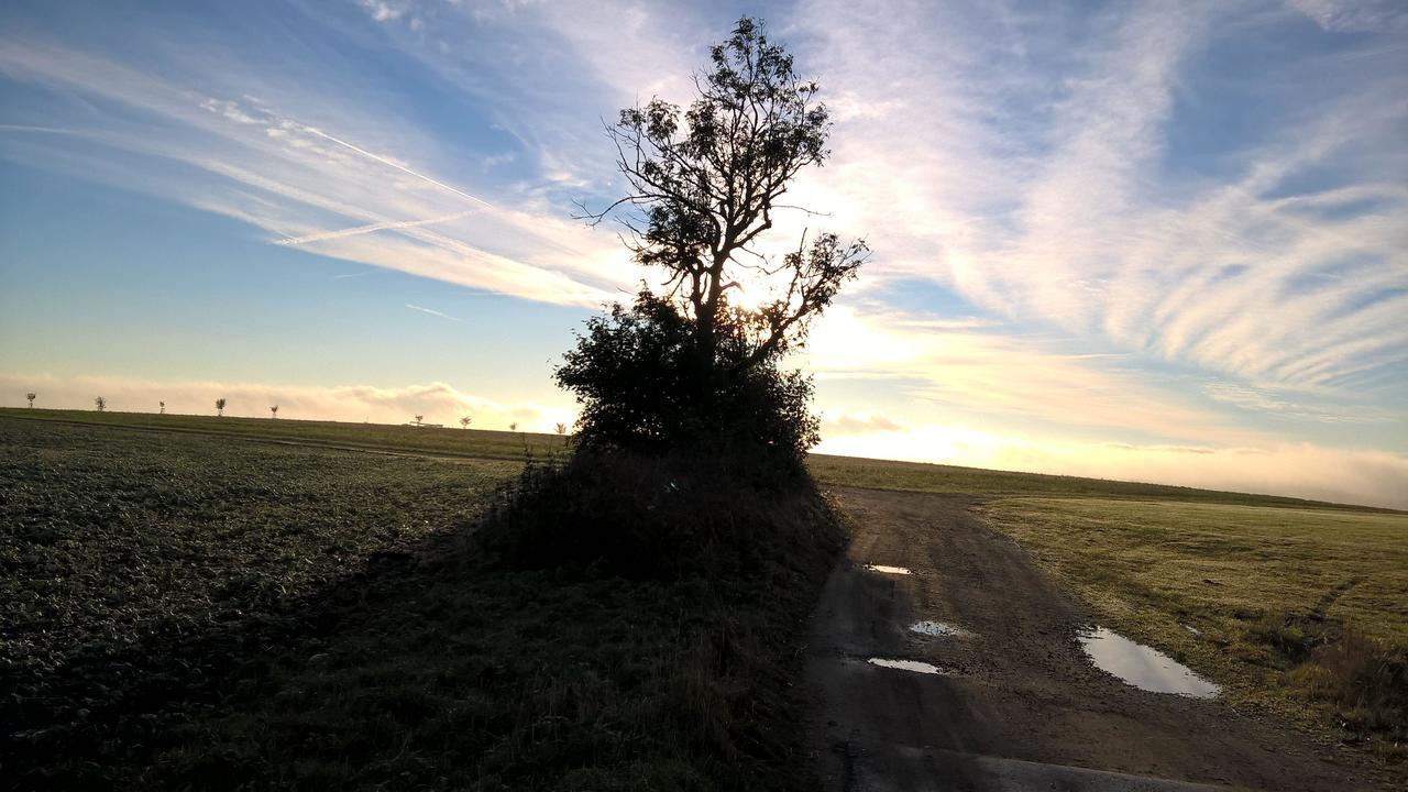 Kammbaude Leilighet Neuhermsdorf Eksteriør bilde
